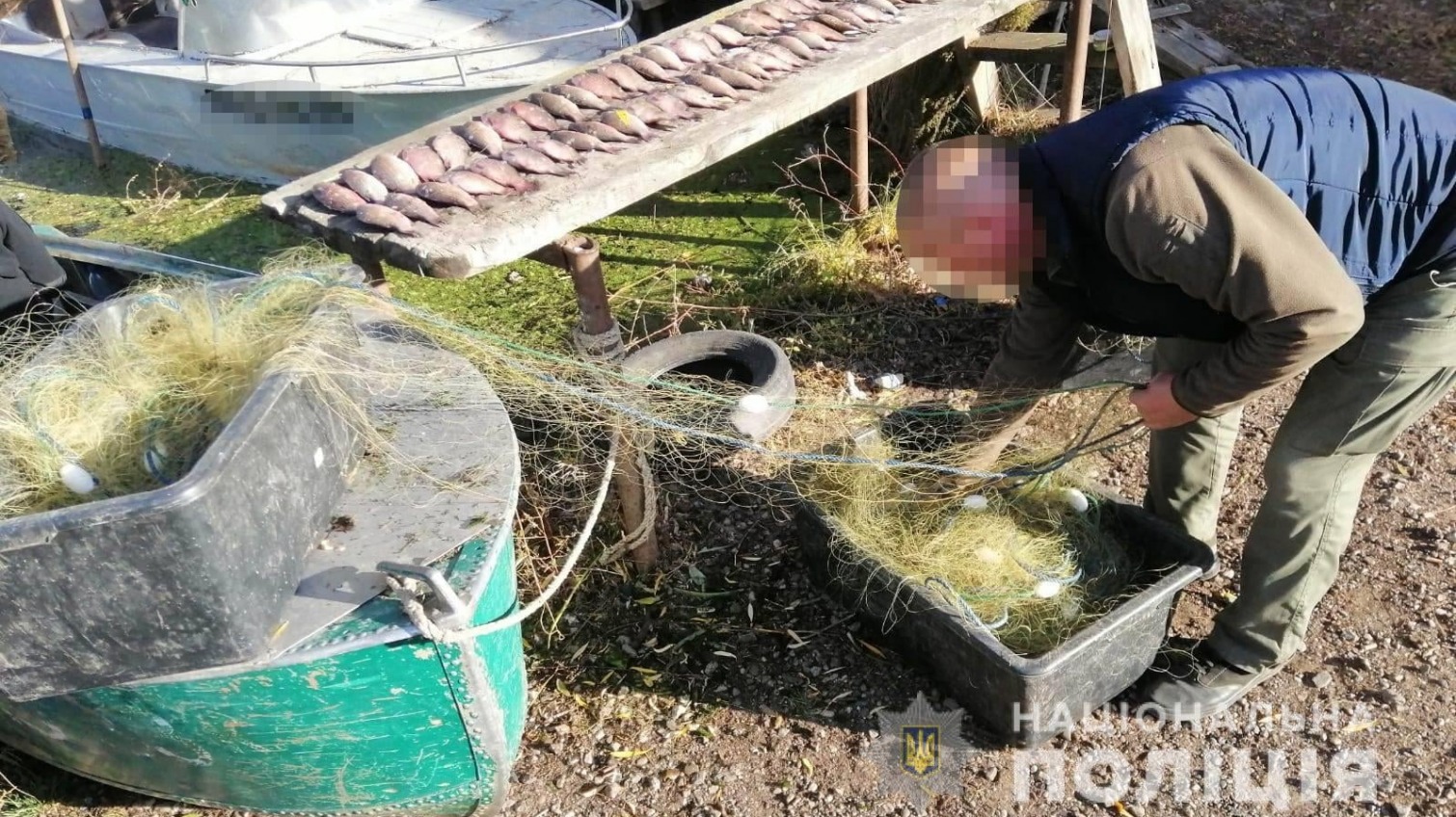 Житель Беляевки незаконно наловил рыбы на 100 тысяч гривен (фото) «фото»