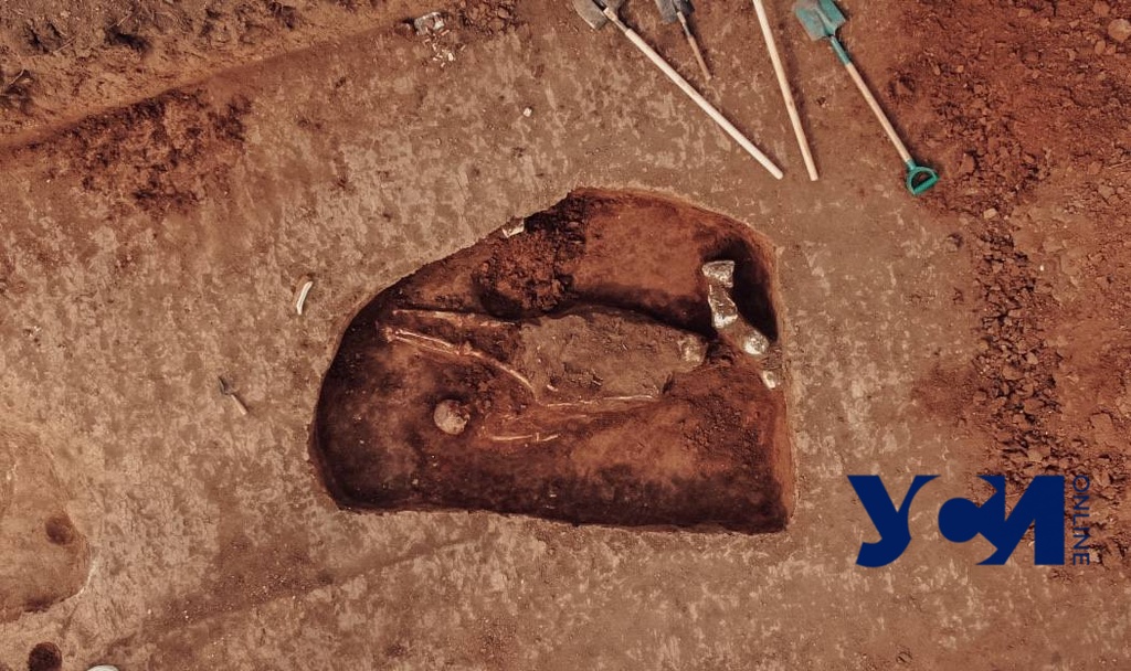 Курган в степи. Как под Одессой археологи изучают культуру древнейших скотоводов  (фото, видео)  «фото»