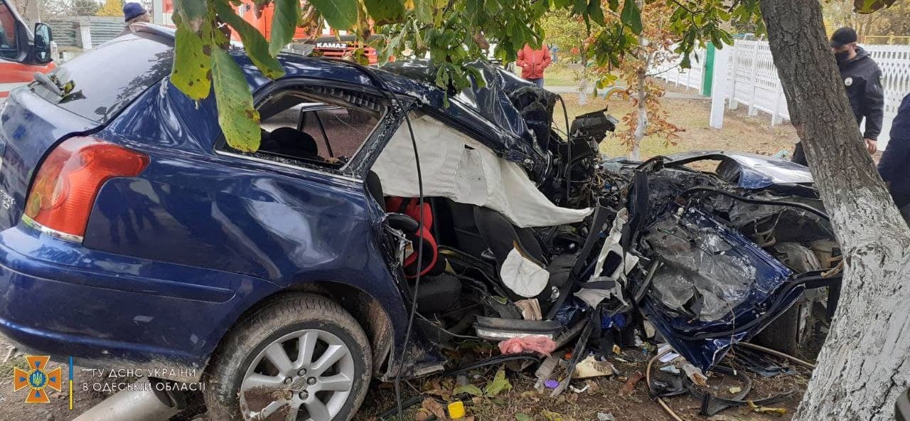 Влетел в дерево: на севере Одесской области произошло смертельное ДТП (фото) «фото»