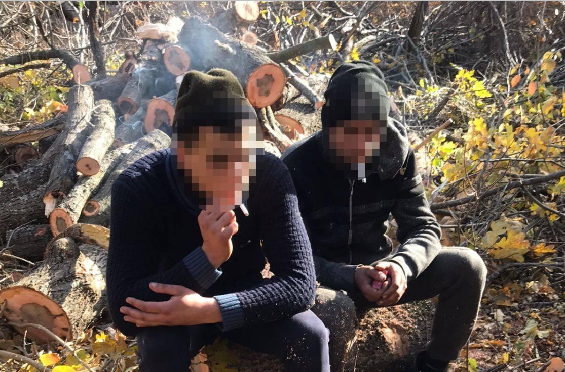 В Одесской области задержали шестерых «черных дровосеков» (фото, видео) «фото»