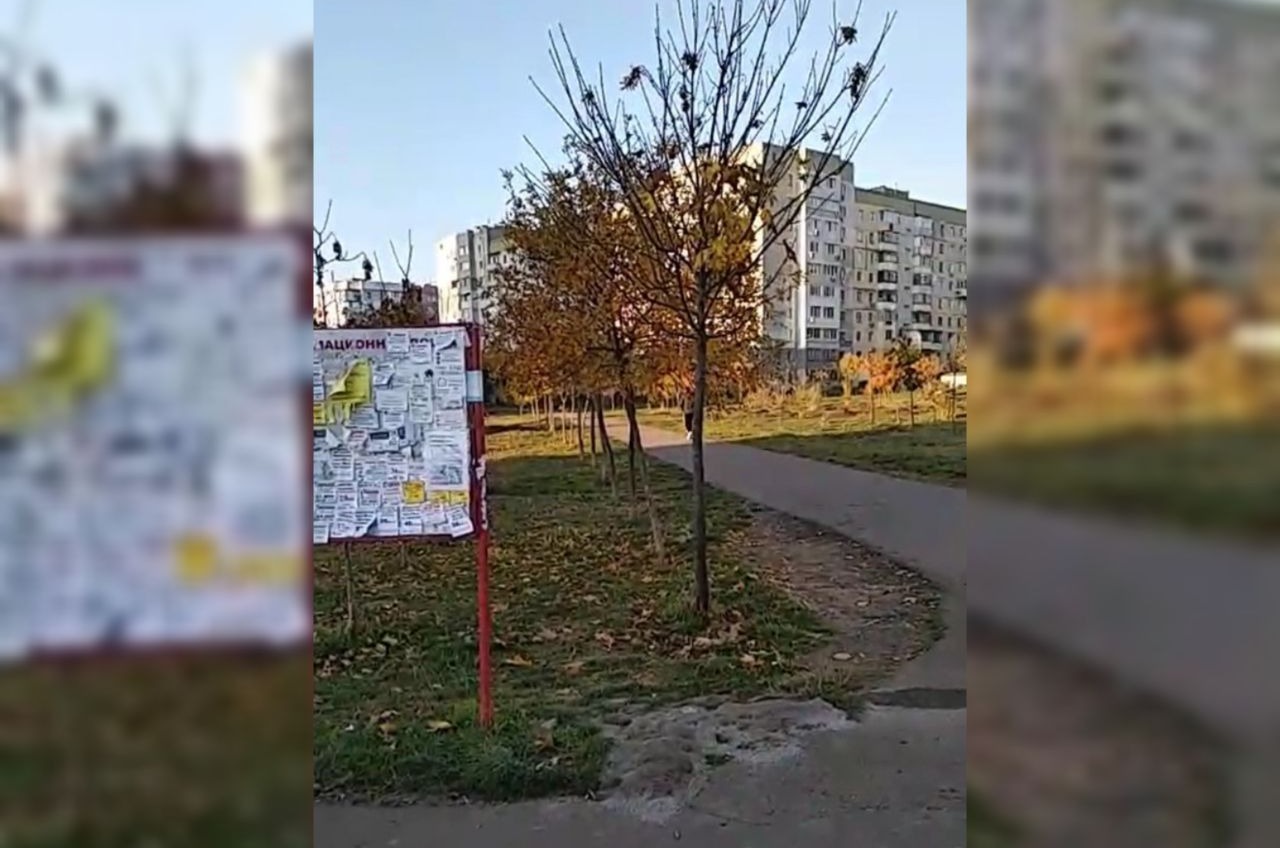 Местные жители заставили убрать МАФ в парке Энтузиастов (аудио) «фото»