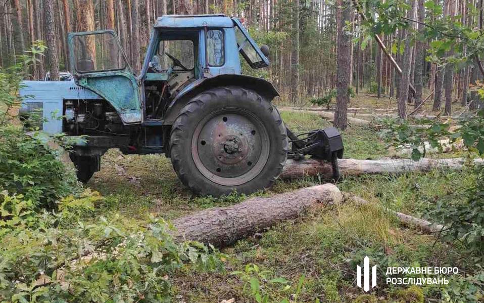 В Одесской области лесник организовал незаконную торговлю древесиной (фото) «фото»