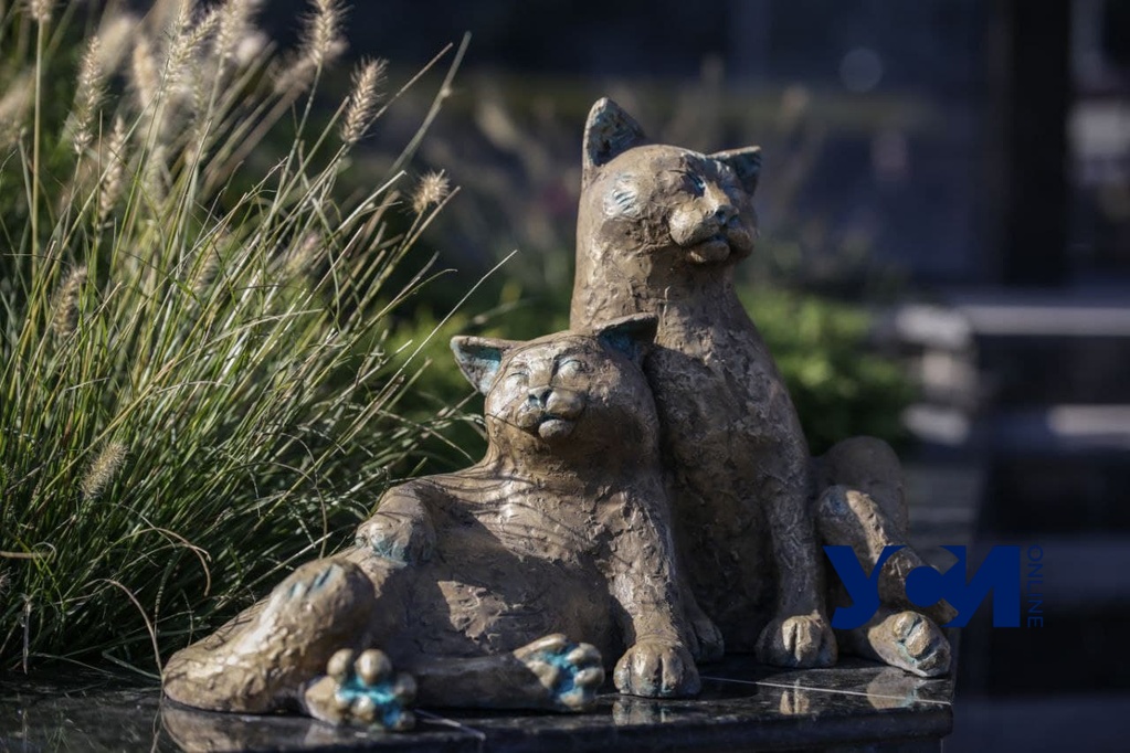 «Шуры-муры»: на Старосенной площади появилась скульптура одесских котов (фото) «фото»