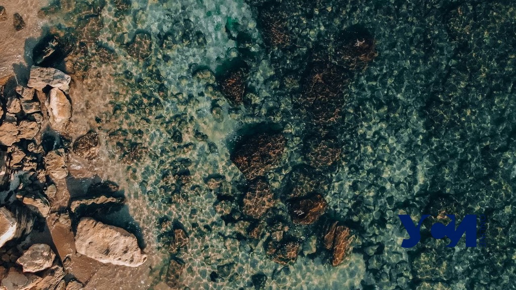 Штиль и красота природы: побережье Фонтанки осенью (фото) «фото»