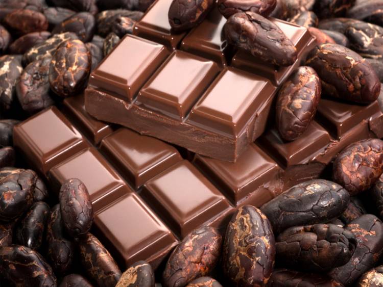 Одесситку наказали общественными работами за кражу шоколада «фото»