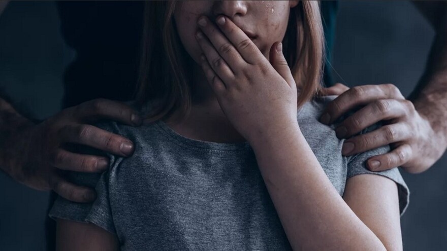 Жителя Одесской области будут судить за изнасилование двоих детей – его пасынка и падчерицы (аудио) «фото»