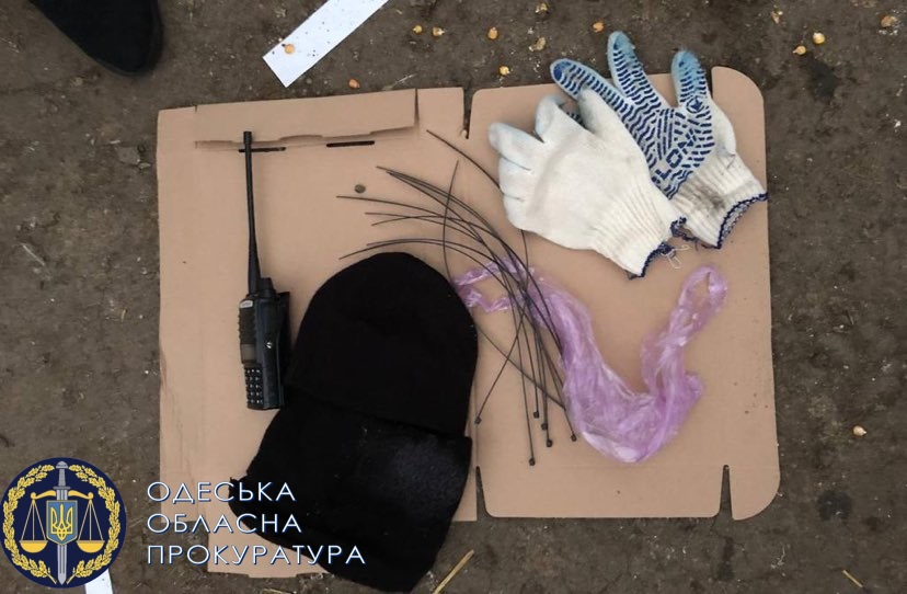 В Одесской области братья-разбойники пытались ограбить пенсионерку (фото) «фото»