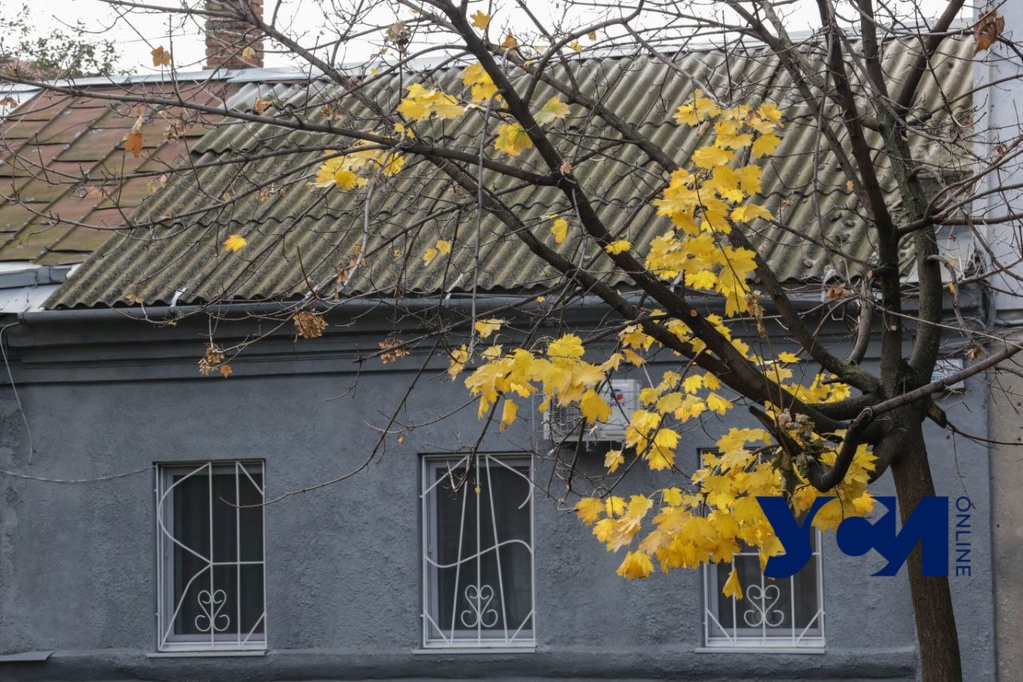 В среду в Одессе сохранится холодная погода, возможны заморозки «фото»