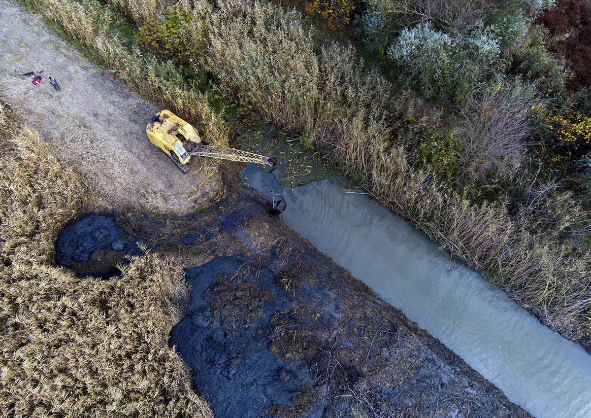 На юге Одесской области расчистили дунайский канал, — это оживит плавни (фото, видео) «фото»