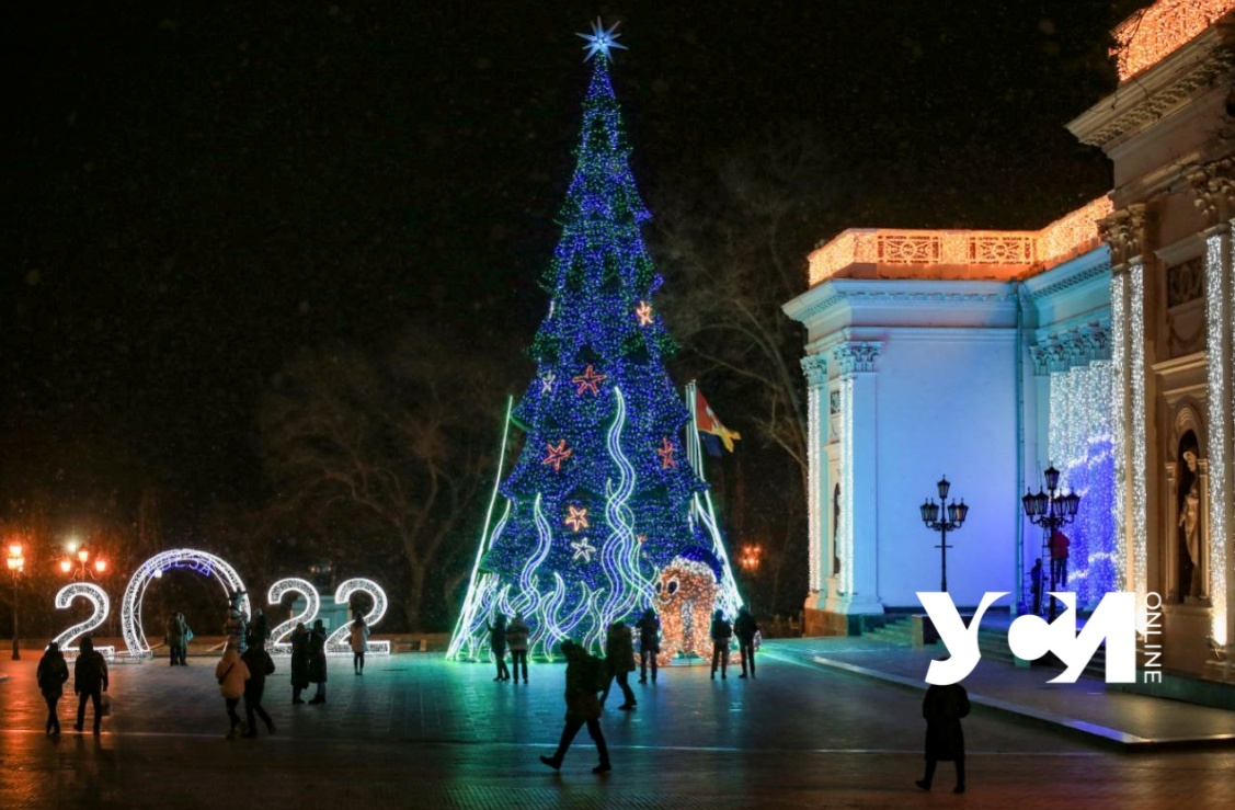 Морская елка из Одессы  вошла в топ-10 самых красивых в Украине (фото) «фото»