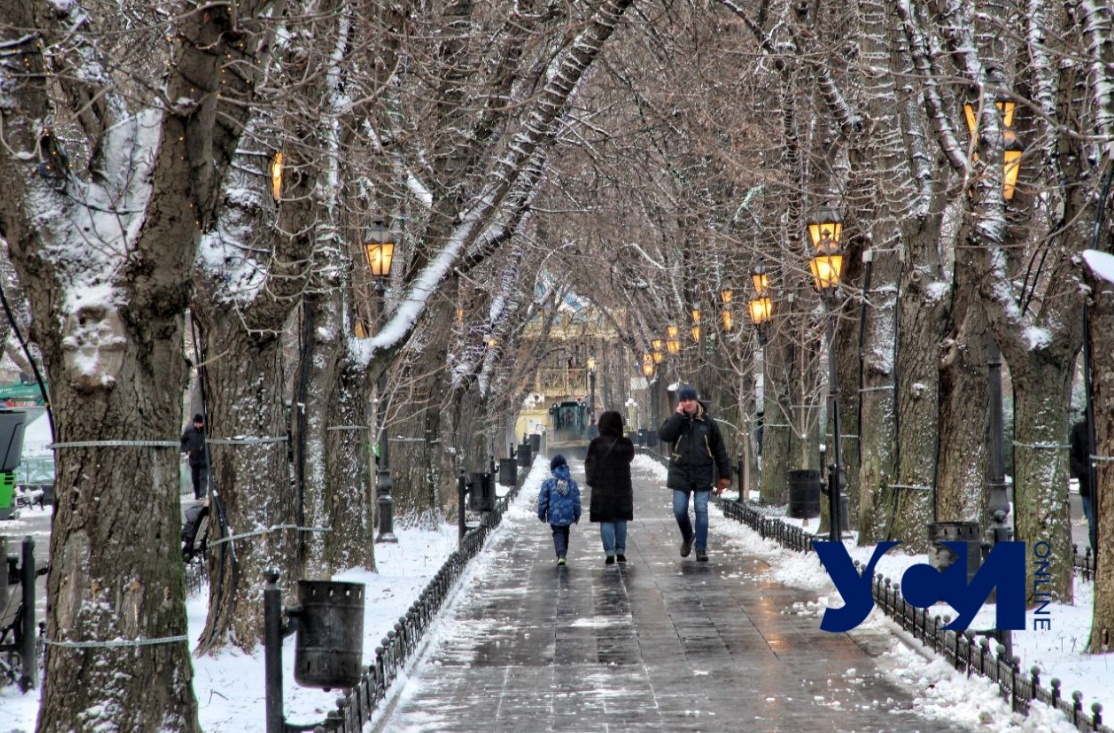 В Одессе снова обещают снег «фото»
