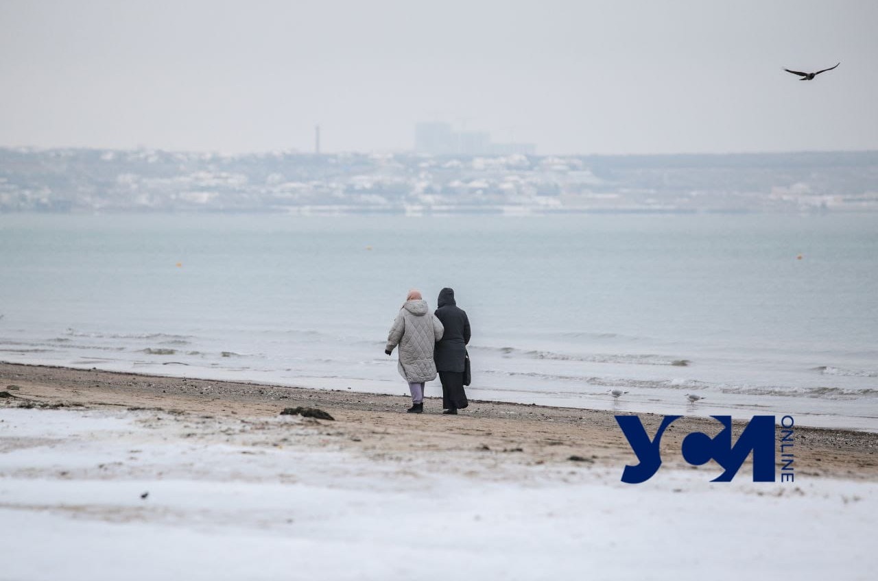 Свинцовое море и серебряные водоросли: прогулка по зимней Лузановке (фото) «фото»