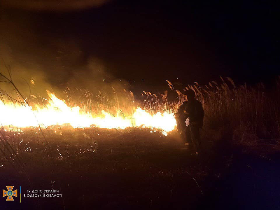 В Одессе горели поля фильтрации (фото) «фото»