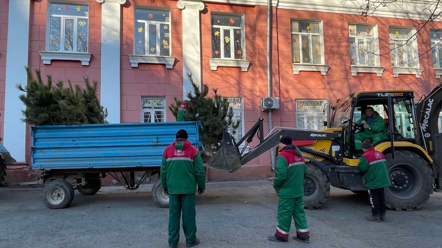 В Одессе начали высадку 1600 сосен возле школ и детсадов (фото, аудио) «фото»