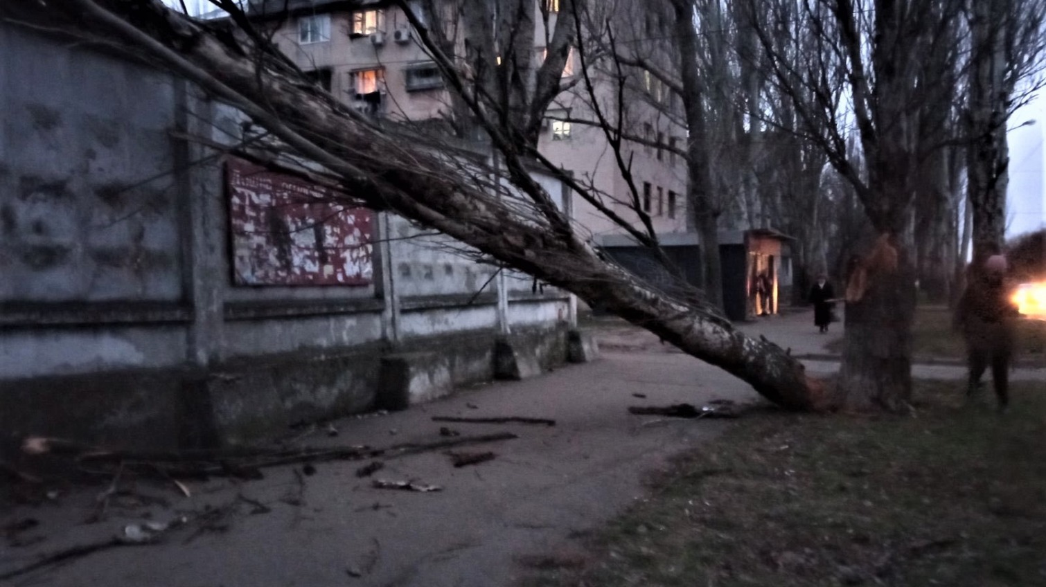 Из-за непогоды в селах Одесской области нет света, в Одессе упали два десятка деревьев (фото) «фото»