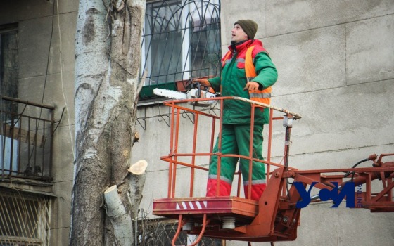 В Одессе началась генеральная уборка: вывозят покрышки, считают гаражи и деревья (фото) «фото»