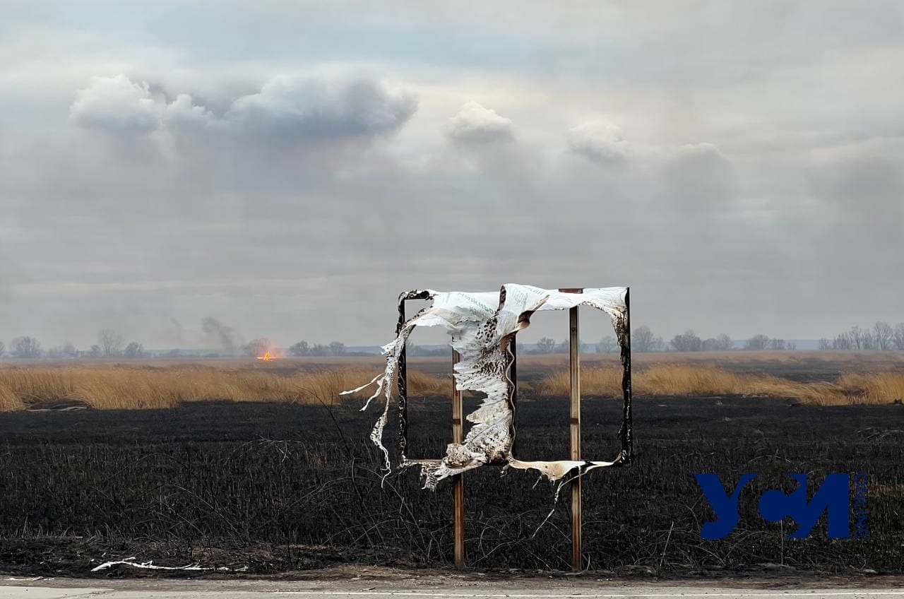 Под Одессой горят плавни: очевидцы помогают тушить огонь (фото, видео) «фото»