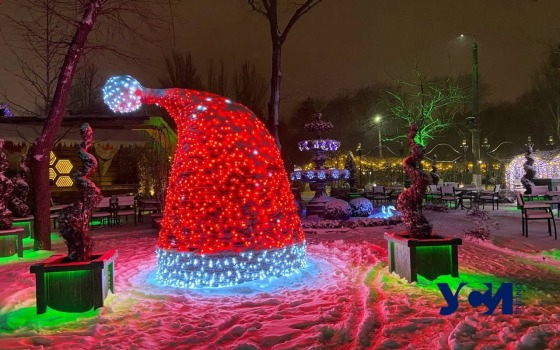Снежная сказка в вечернем парке Одессы (фото) «фото»