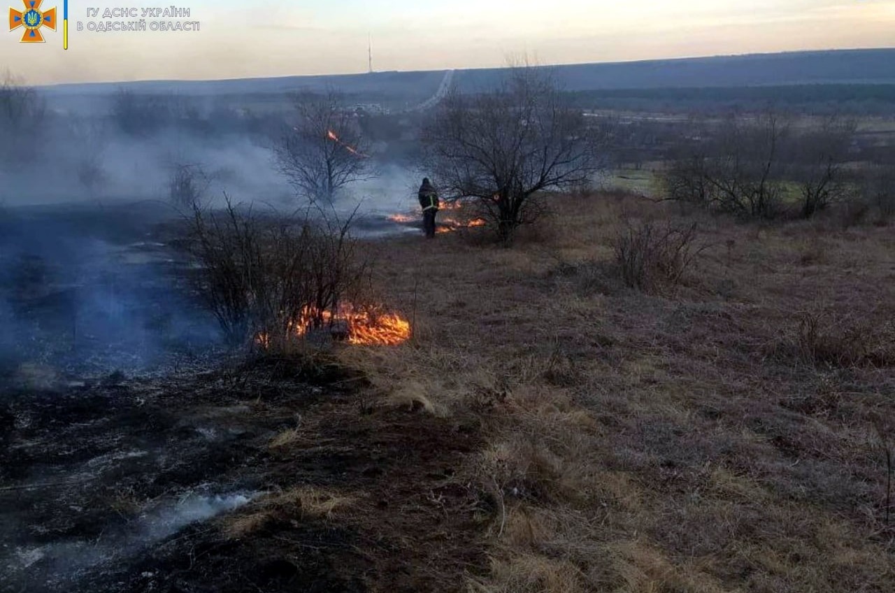 Огонь под Одессой: массово горит сухая трава (фото) «фото»