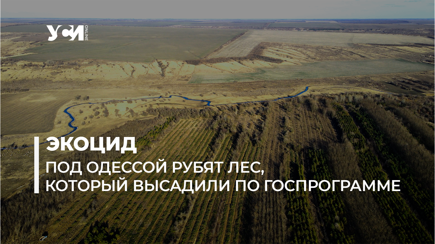 В Одесской области вырубают лес ради песчаного карьера: подробности (видео, документ) «фото»