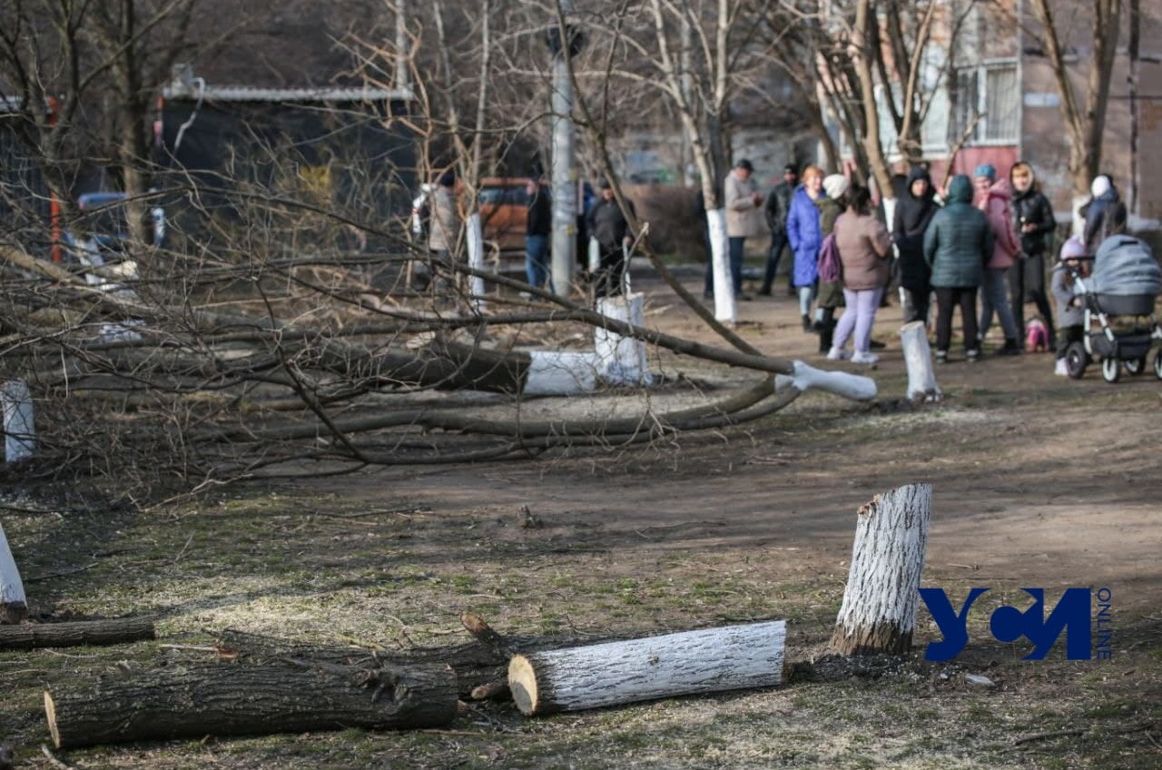 Противостояние на Таирова: жильцы недовольны вырубкой деревьев (фото, аудио) «фото»