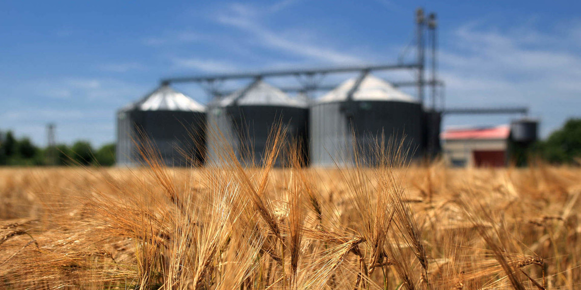 В Украине почти на 40% увеличился экспорт зерновых «фото»