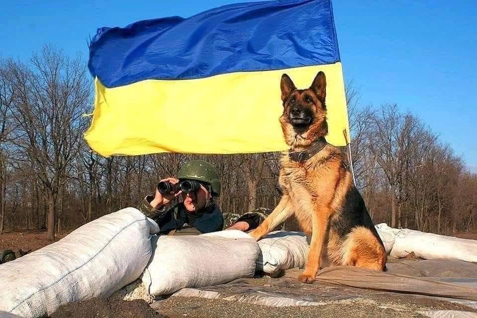 Войска врага под Киевом взяты в кольцо Вооруженными силами Украины «фото»