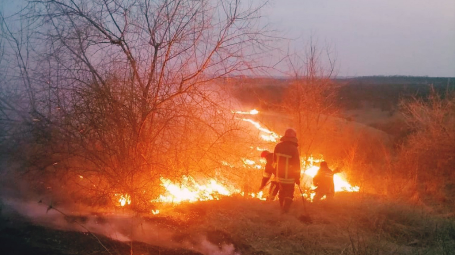 Одесскую область охватили пожары: за сутки выгорело 42 га природных экосистем (фото, видео) «фото»