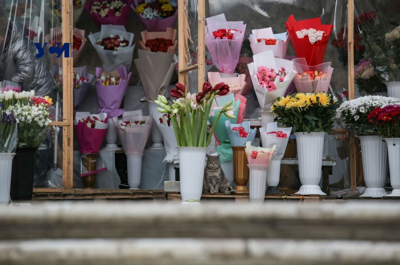 В Одессе будет тепло, но пасмурно usionline.com В Одессе будет тепло, но пасмурно «фото»