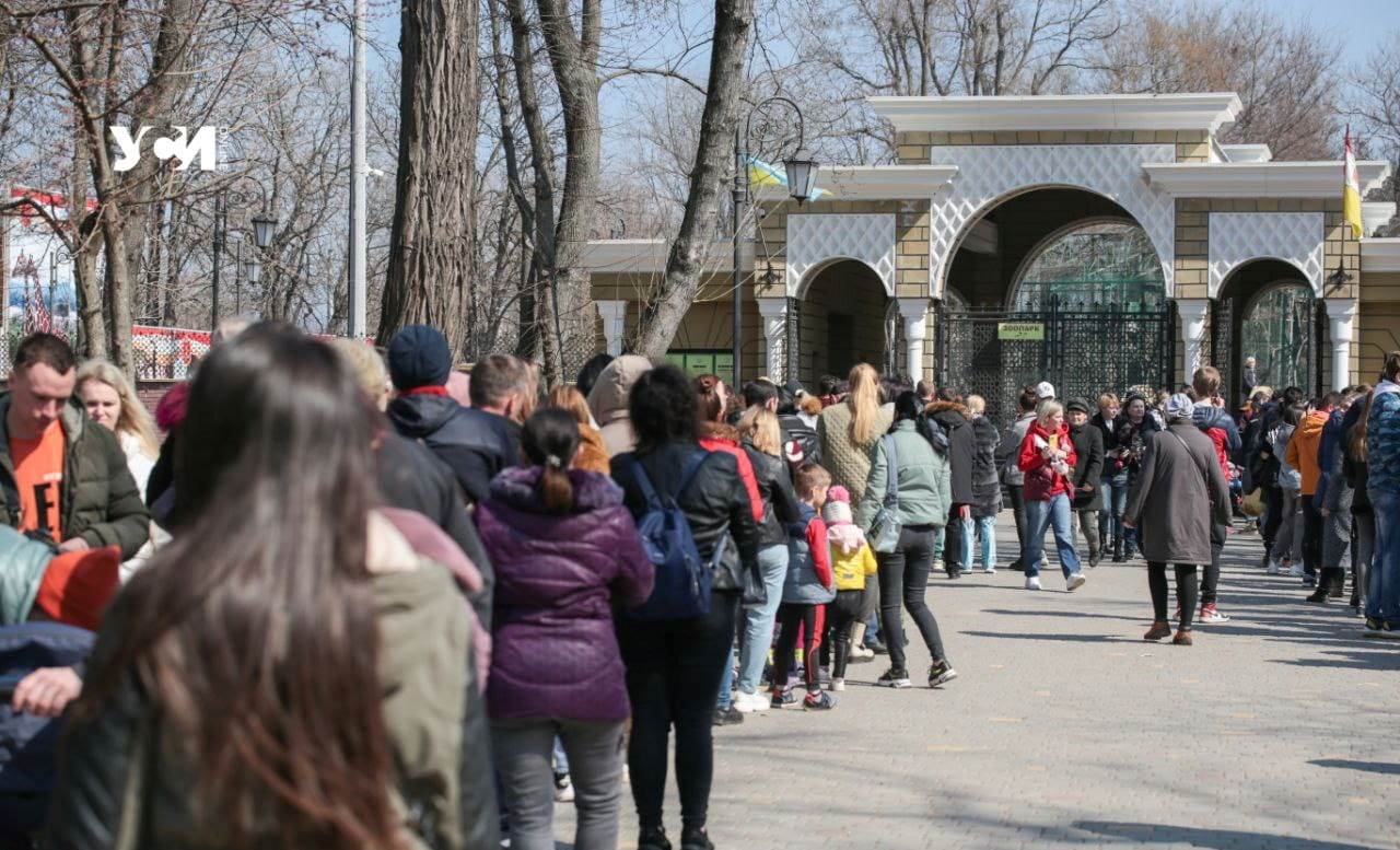 Одесский зоопарк продлевает время работы и откроет акватеррариум «фото»