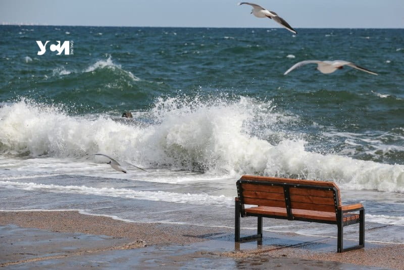 Жизнь продолжается: волны и чайки на Ланжероне (фото) «фото»