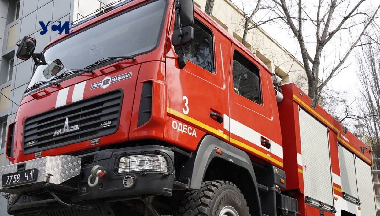 Сводка спасателей: в Одессе и области продолжаются пожары в экосистемах «фото»