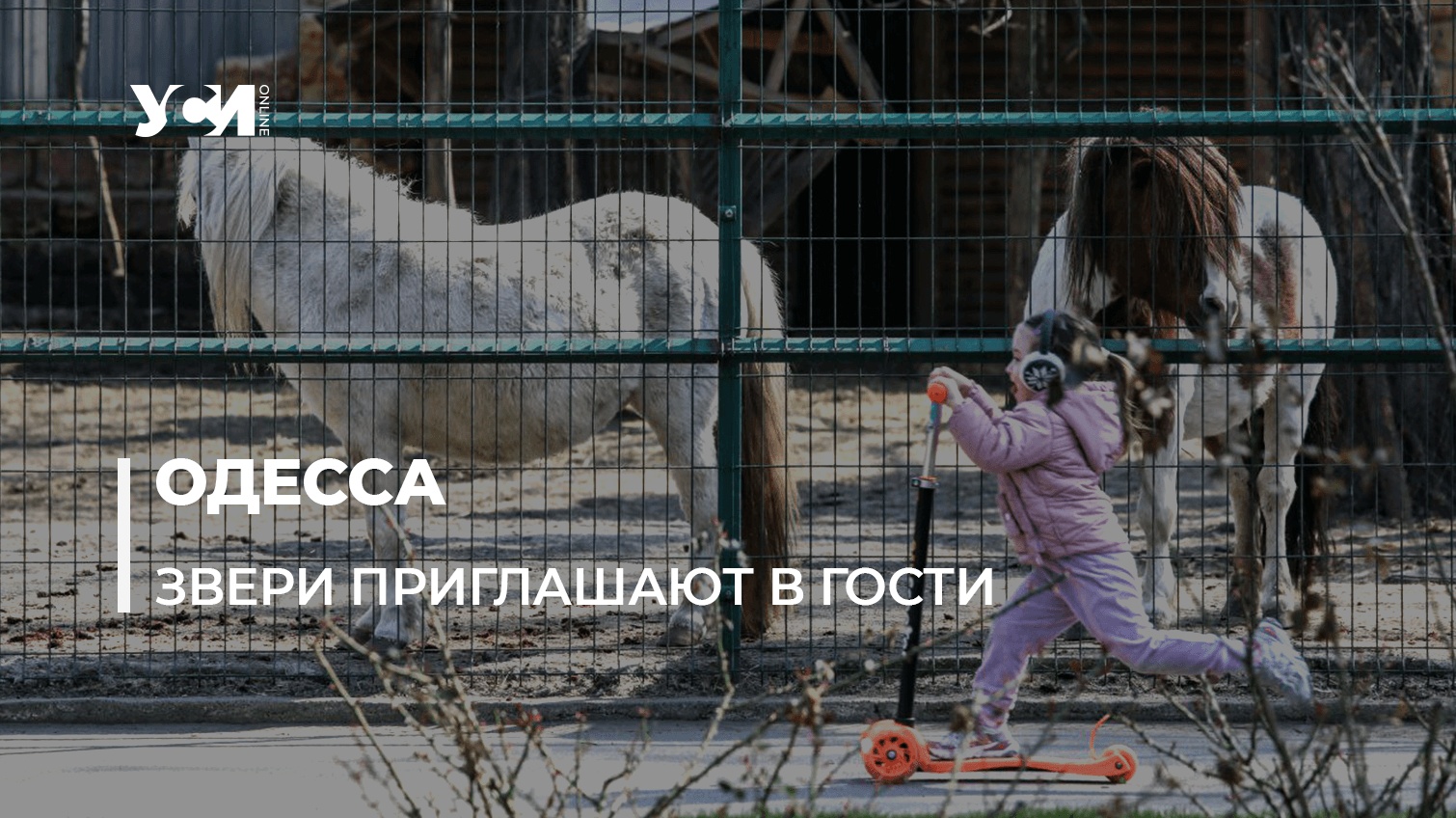 Жизнь продолжается: в Одессе открылся зоопарк (фото) «фото»