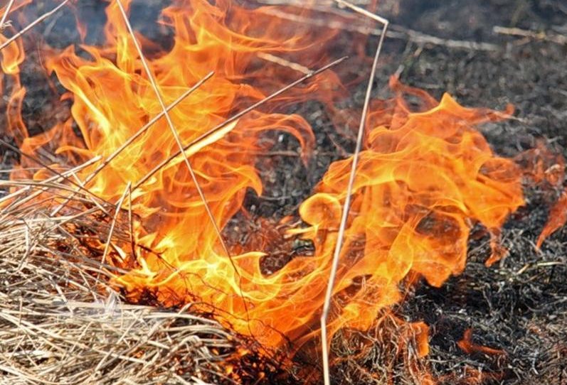 Сжигание сухой травы в Украине приравняли к диверсии «фото»