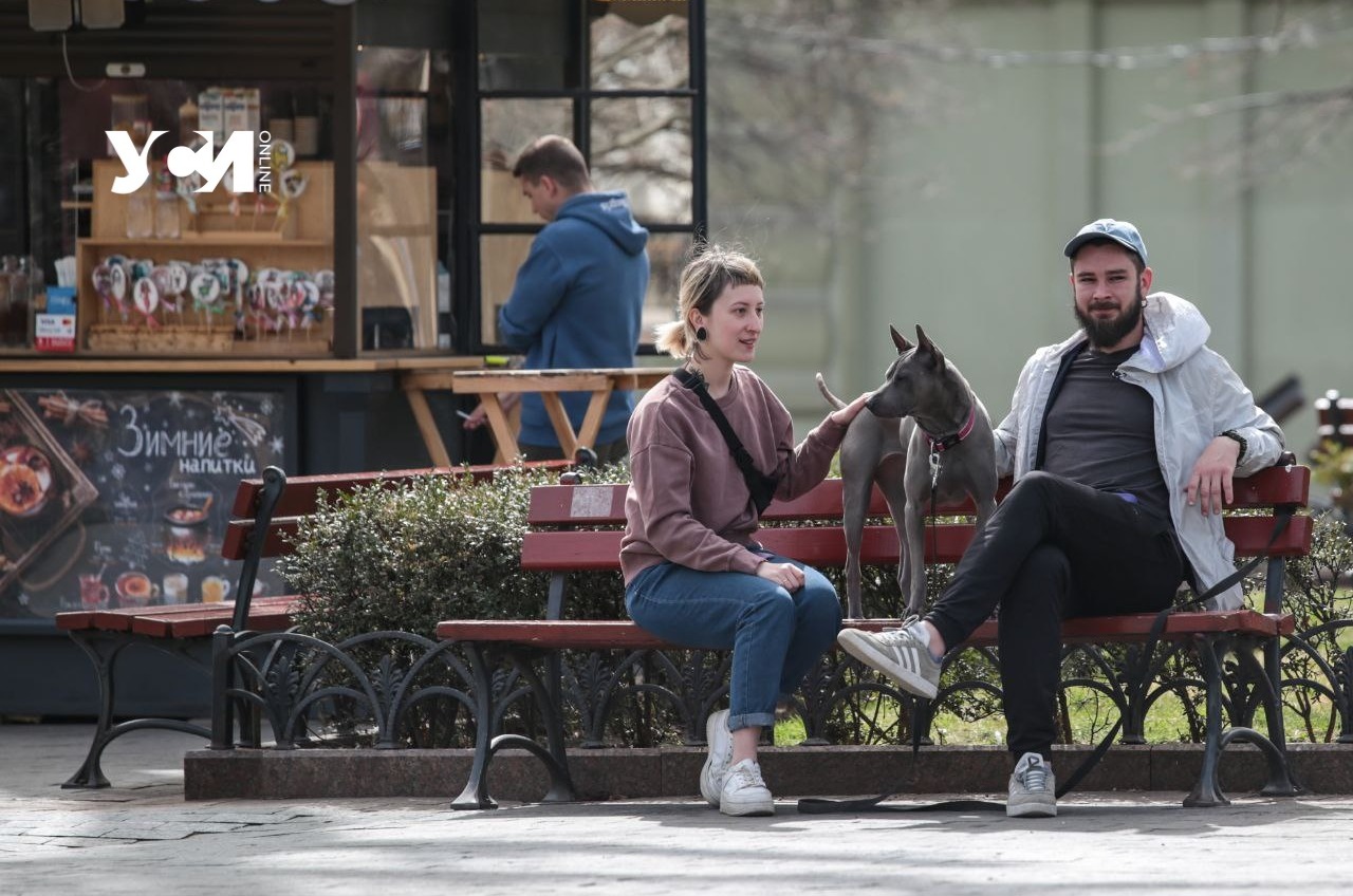 Мирные одесситы: жизнь в центре города (фото) «фото»