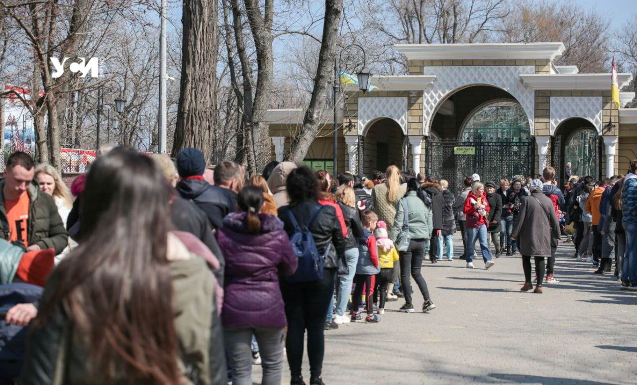 Одесский зоопарк готовится к юбилею: горожан просят о помощи «фото»