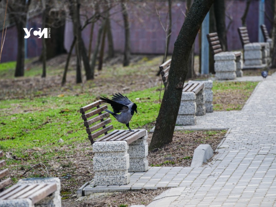 Во вторник в Одессе будет ветрено и пасмурно usionline.com Во вторник в Одессе будет ветрено и пасмурно «фото»