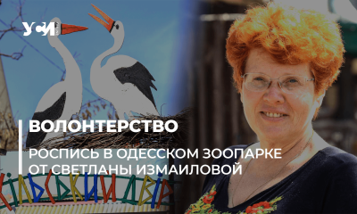 Одесская мастерица украсила сельский дворик в зоопарке (фото, аудио) «фото»