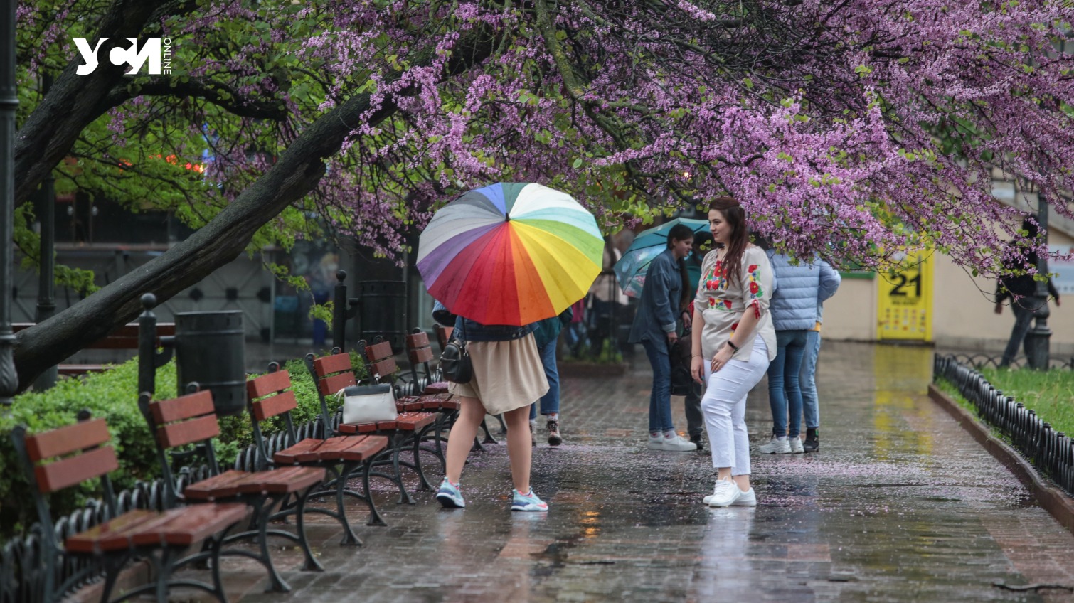 В Одессе похолодает и возможен дождь  «фото»