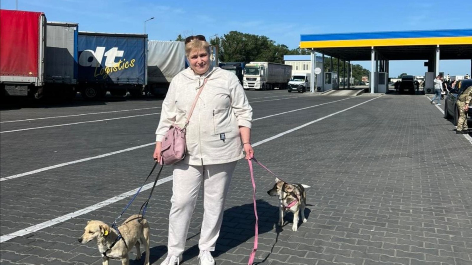 В Одесской области спасают животных и отправляют в приют за границу (фото) «фото»