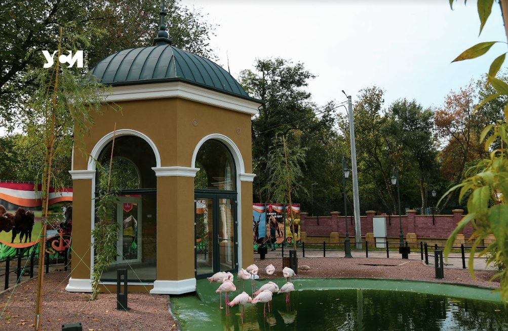 Одесский зоопарк не будет эвакуироваться «фото»