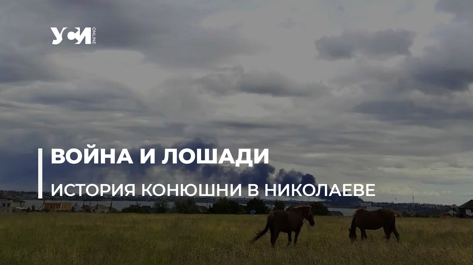 Конюшня в Николаеве: как справляются люди и животные под регулярными обстрелами «фото»