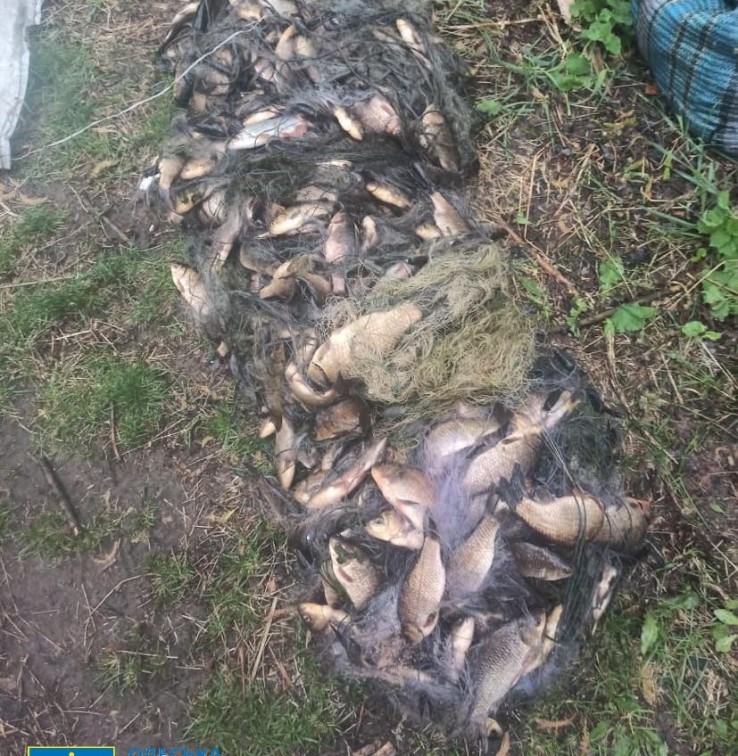 Выловили рыбы на более чем 600 тысяч: будут судить двух жителей Подольского района (фото) «фото»