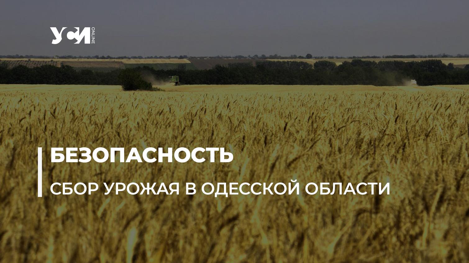Главная цель одесских аграриев – уберечь урожай от пожаров (видео) «фото»