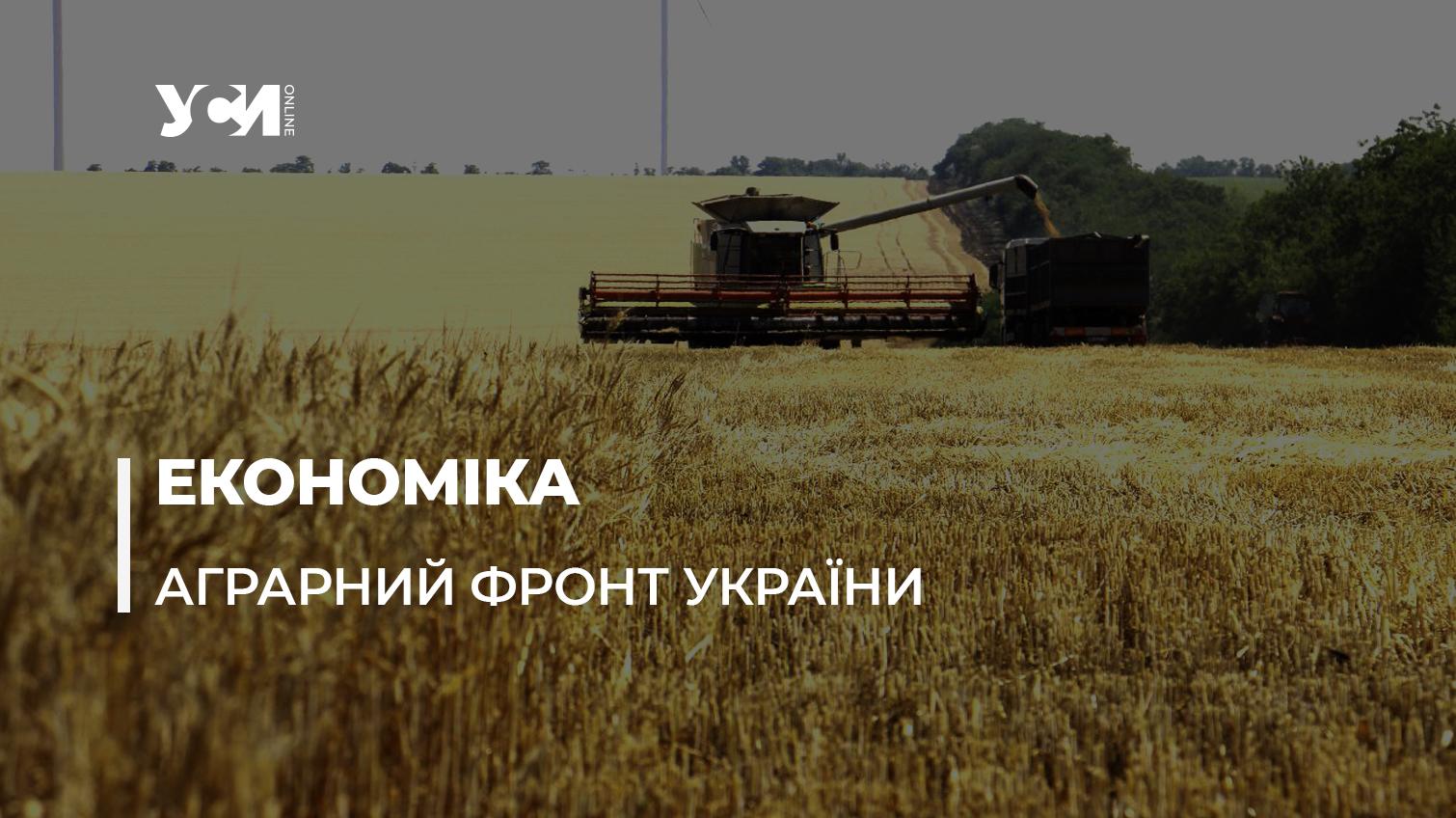 Аграрний фронт Одеського регіону: низькі закупівельні ціни на зерно та подорожчання овочів (відео) «фото»