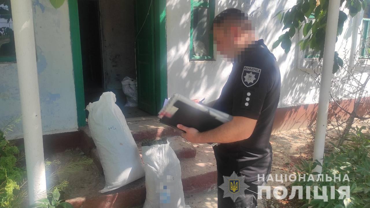 В поиске ДРГ: в Одессе задержали россиянина, который выращивал коноплю (фото, видео) «фото»
