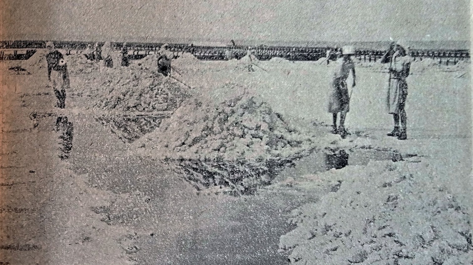 Історія видобування солі на Куяльницькому лимані «фото»