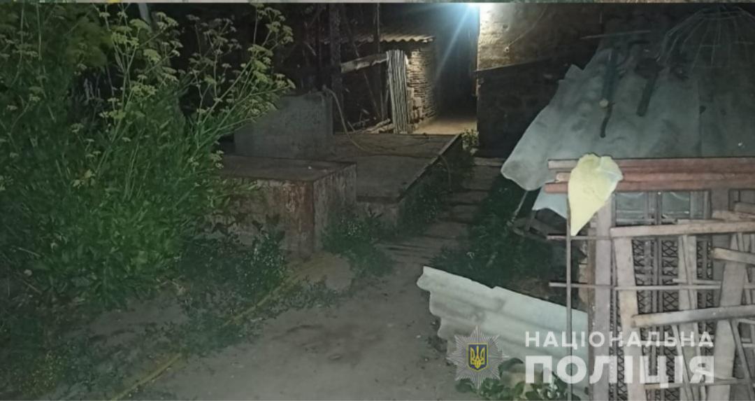 В Одесской области семейная ссора переросла в поножовщину: мужчина ударил ножом брата (фото) «фото»