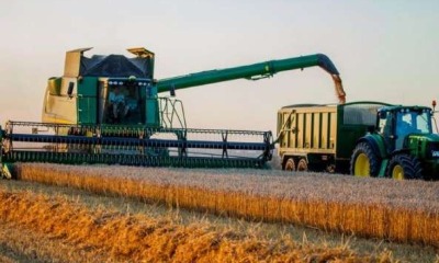 Зернова війна – останній шанс россії usionline.com Зернова війна – останній шанс россії «фото»