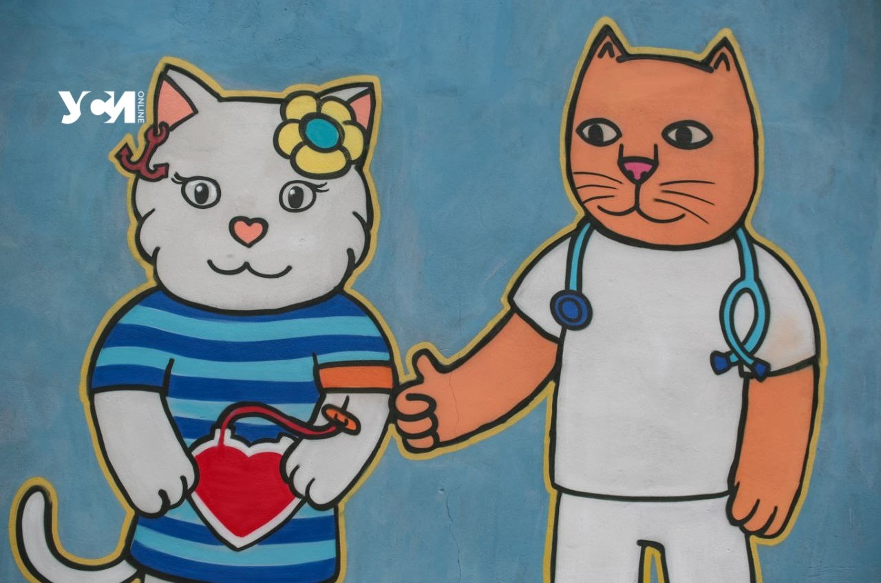 В Одессе появился стрит-арт с котами-медиками (фото) «фото»